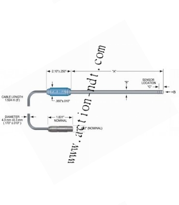 Sonde axiale pour champ rémanant